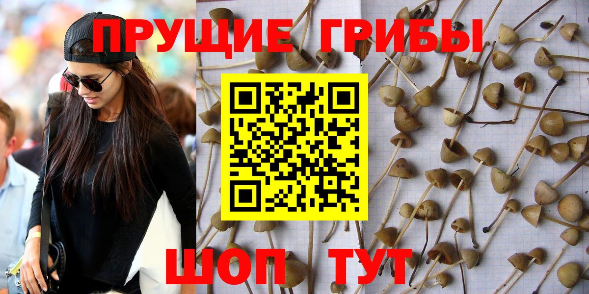 Галлюциногенные грибы прущие грибы  Вход с VPN  Коммунар  Галлюциногенные грибы MAGIC MUSHROOMS 