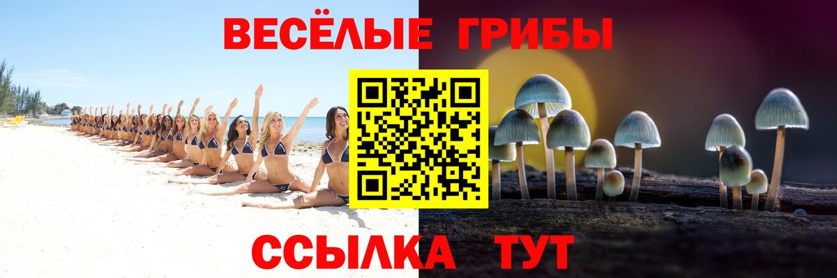 Галлюциногенные грибы Коммунар